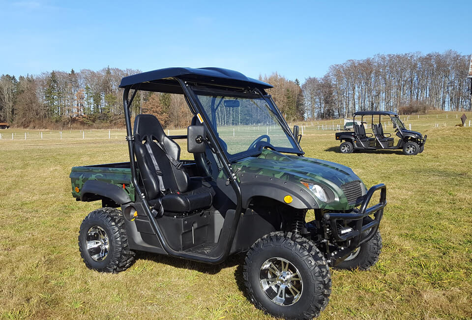 Electric UTV RUE725X