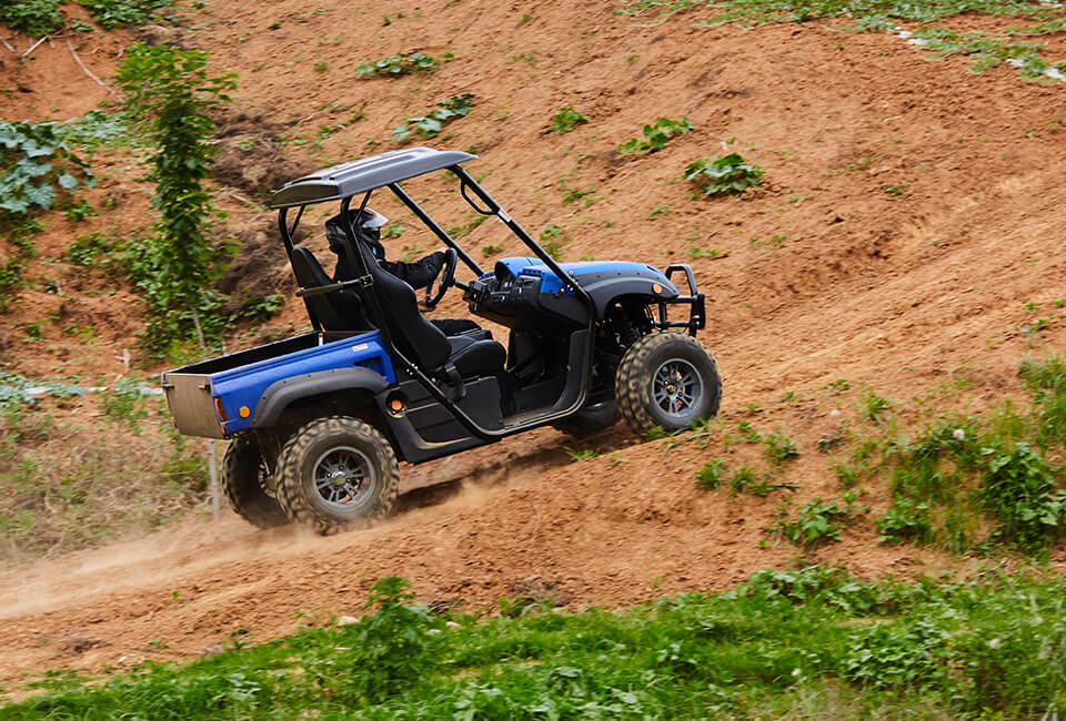 Electric UTV RUE725X