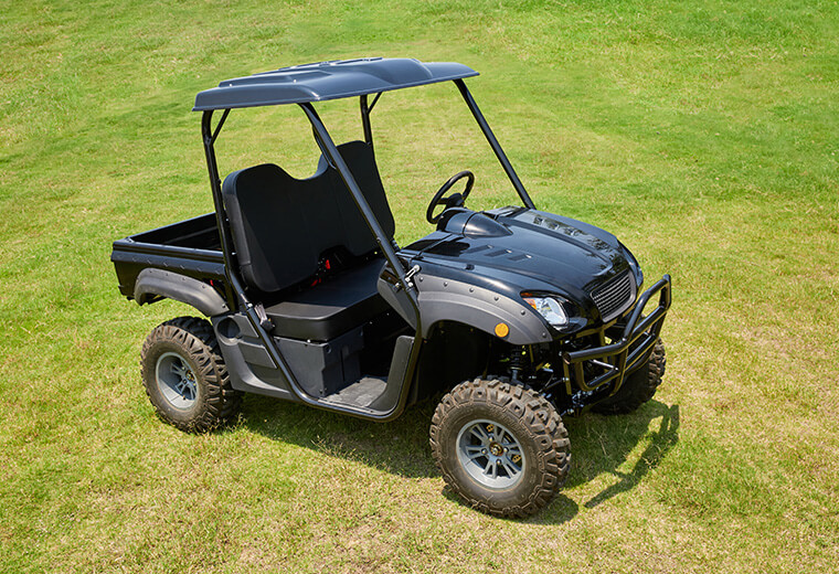 Electric UTV RUE725