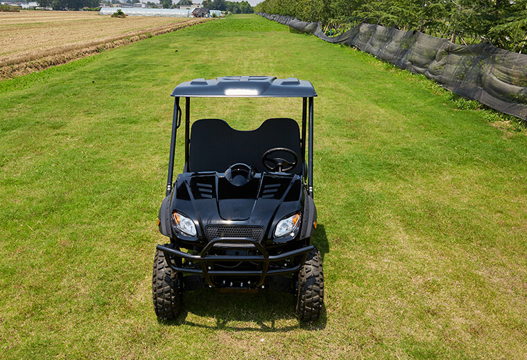 Electric UTV RUE725