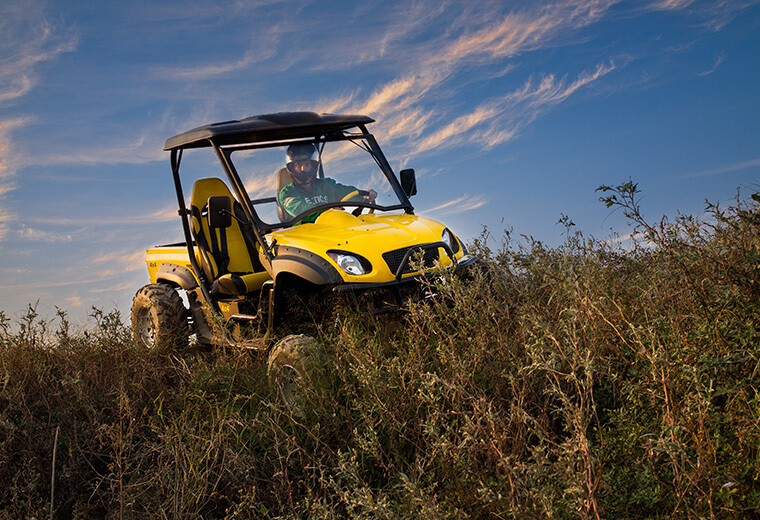 Electric UTV RUE725X