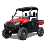 Gasoline UTV