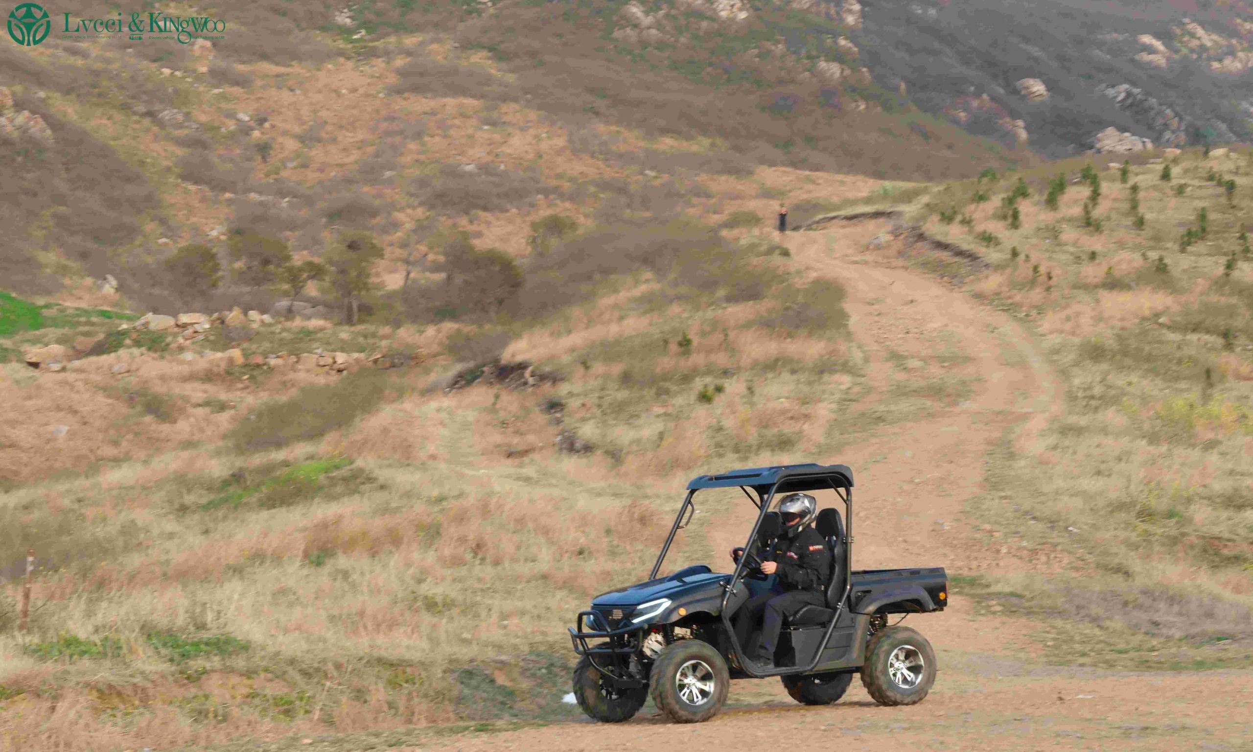 electric UTV