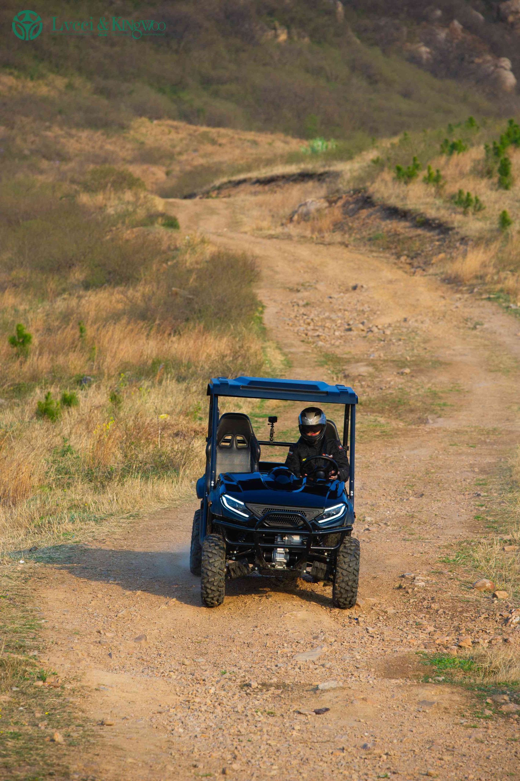 ELECTRIC UTV