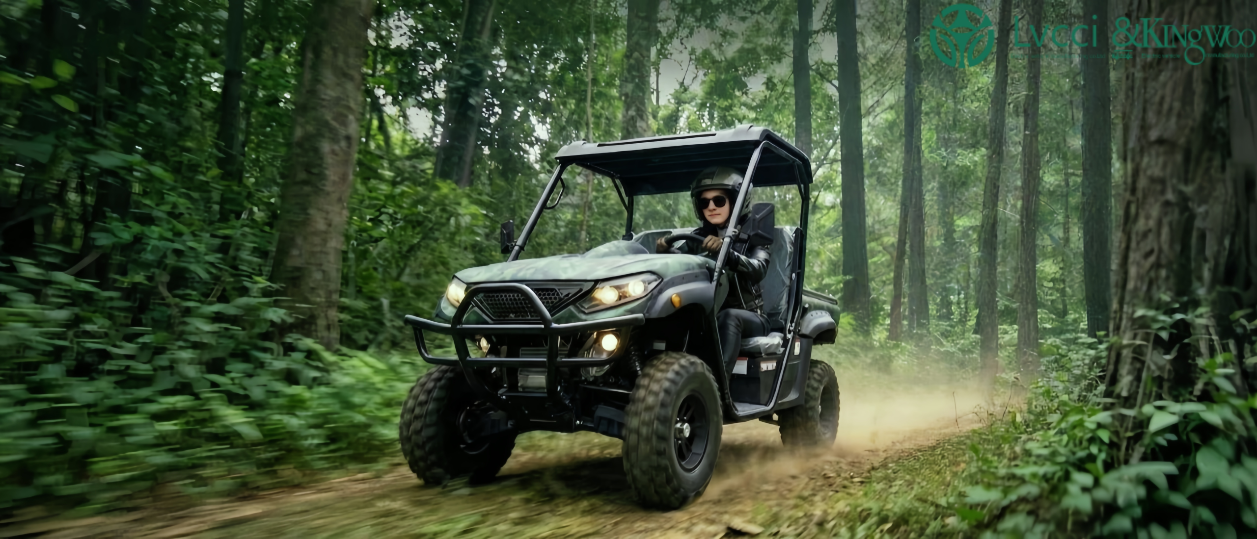 electric UTV