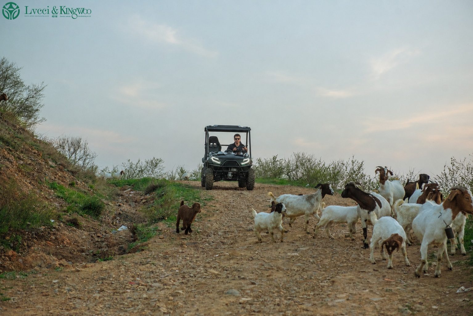 ELECTRIC UTV