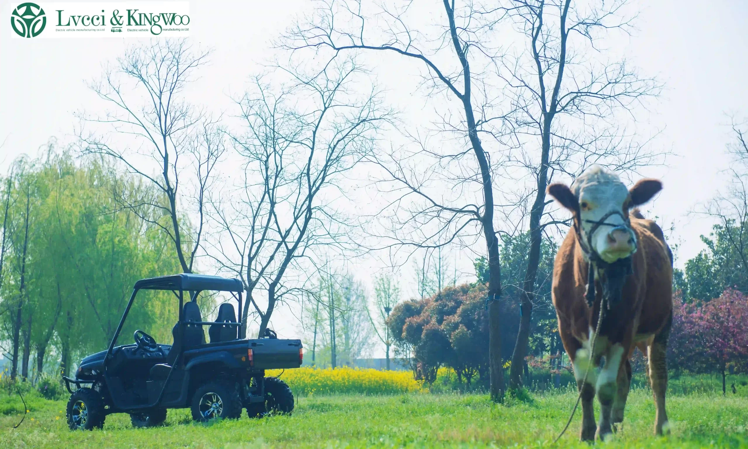 An electric UTV in the countryside