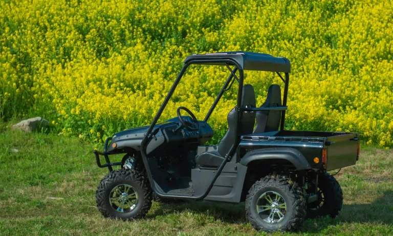 Electric UTV amidst wildflowers in the wild
