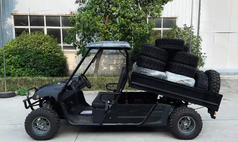 ELECTRIC UTV with cargo bed