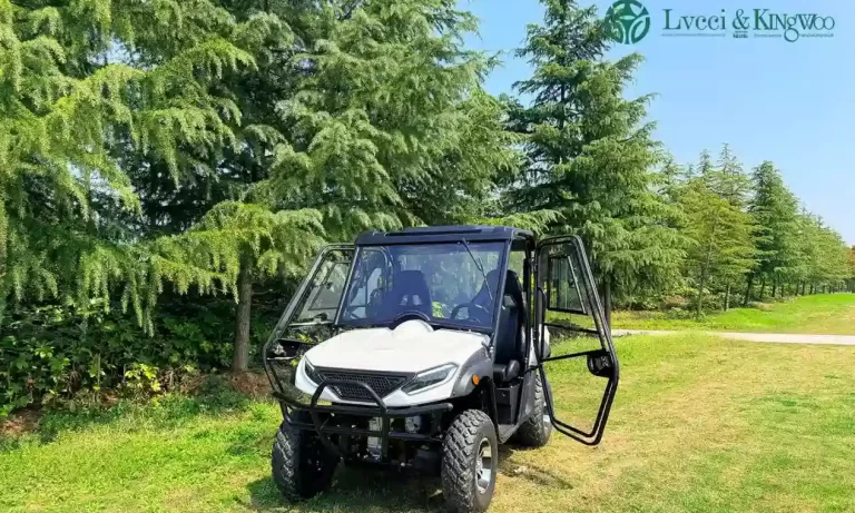 Electric UTV with door