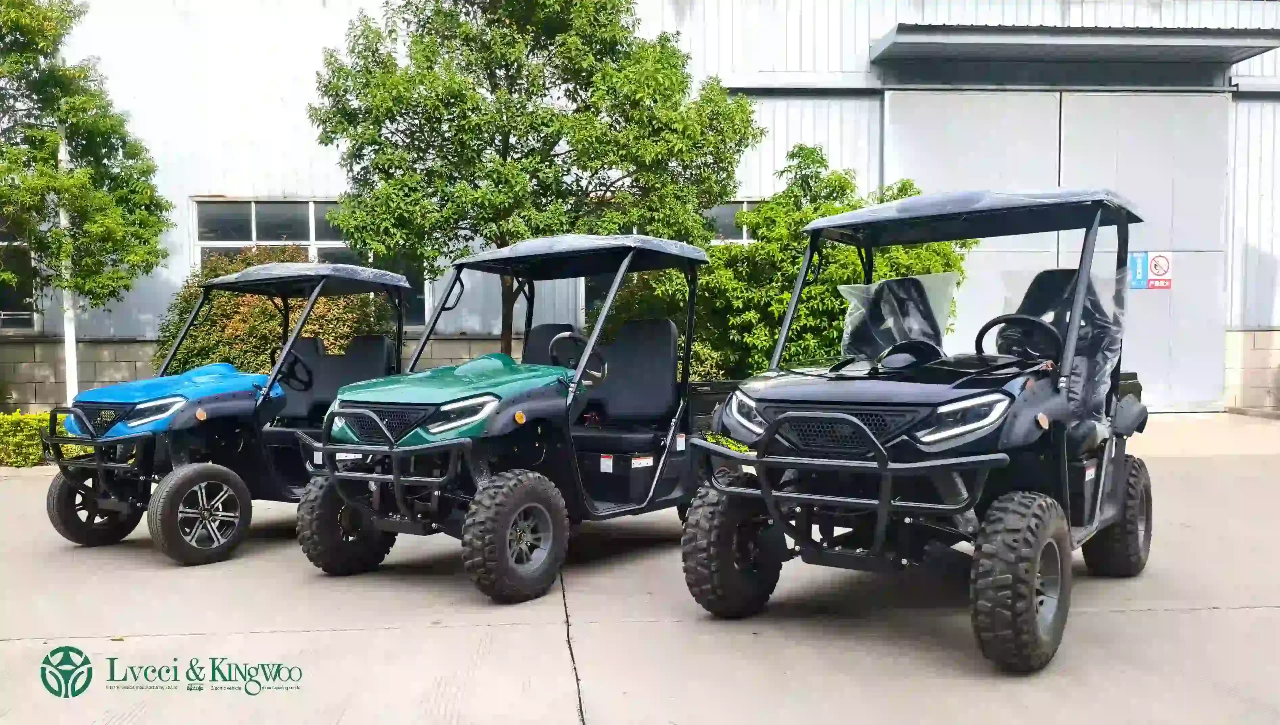 Electric UTVs