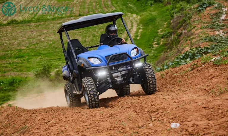 blue electric UTV