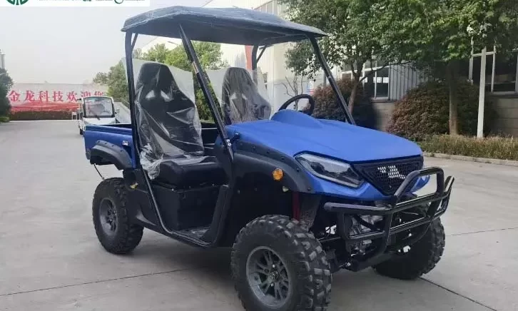 blue electric UTV