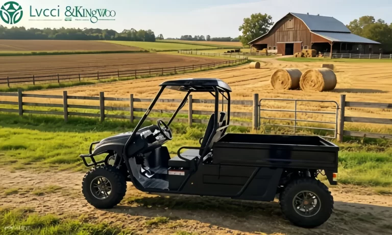 electric UTV in farm
