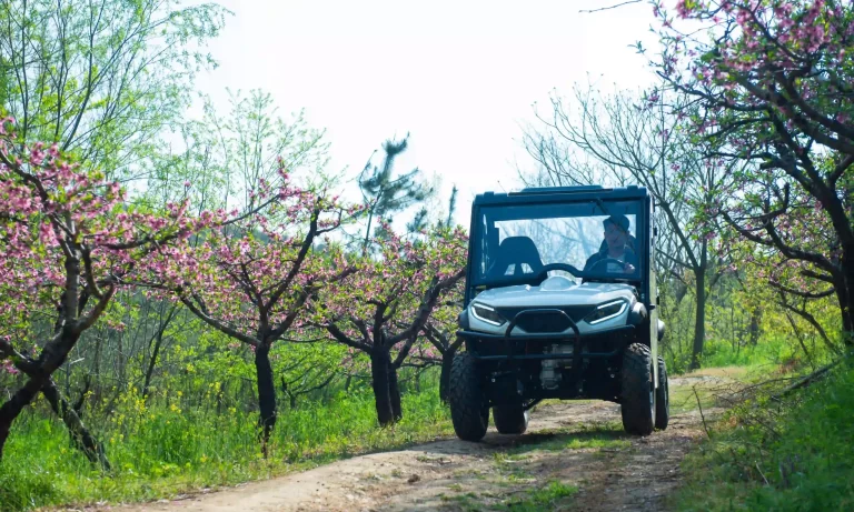 electric UTV in spring