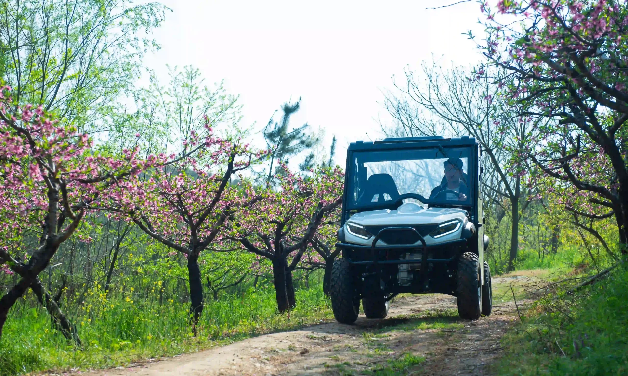 electric UTV in spring