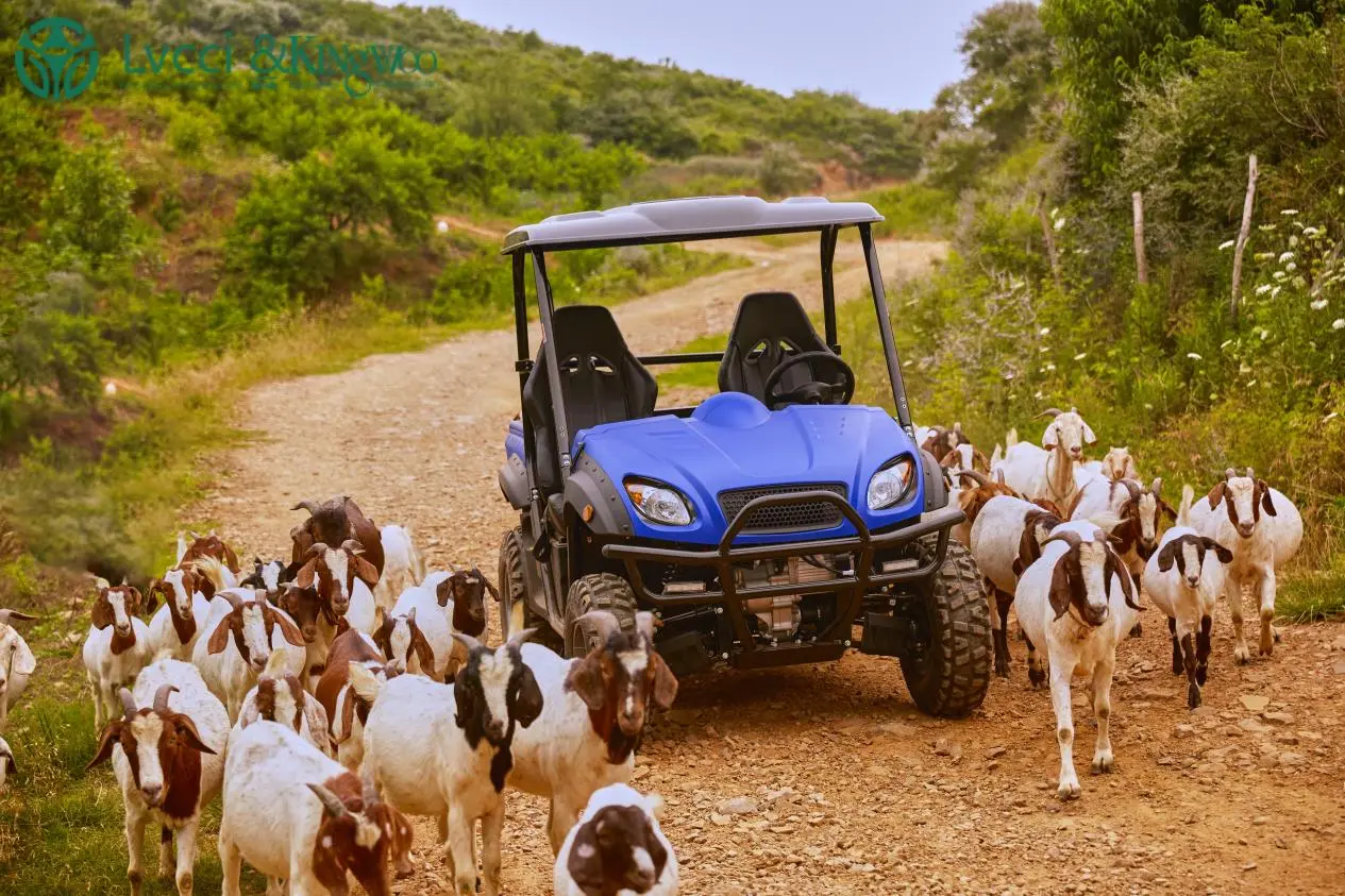 elelctric UTV with sheep