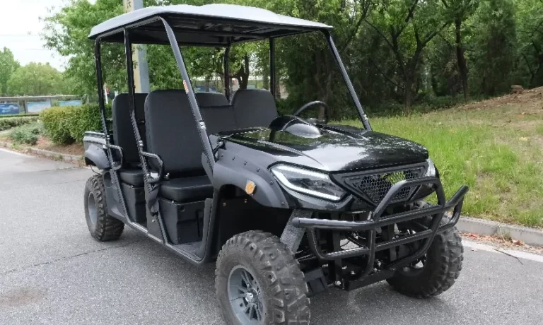 black EEC UTV