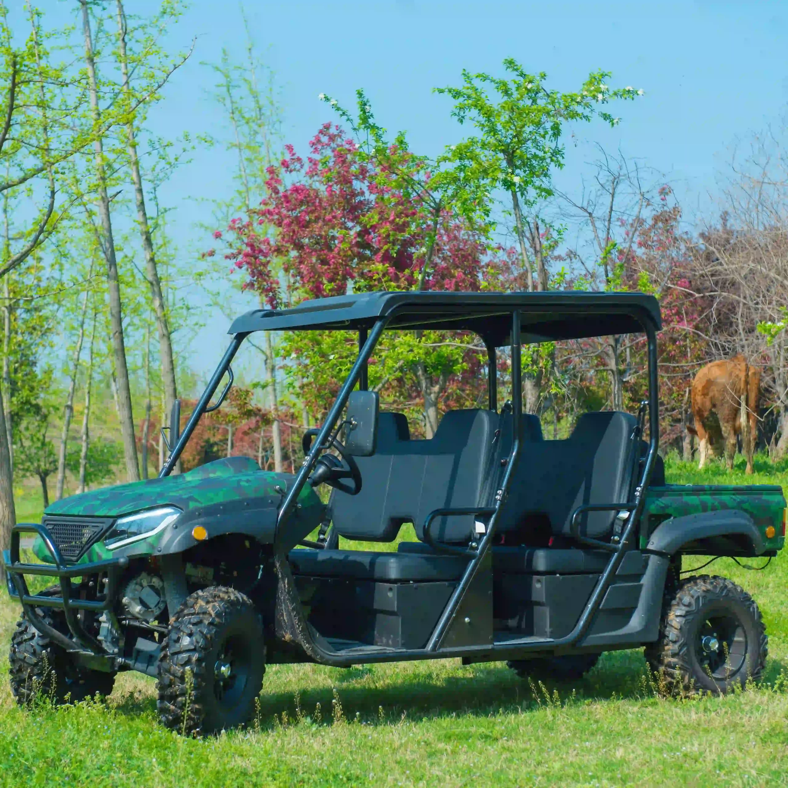 Compact Eco Utility UTV