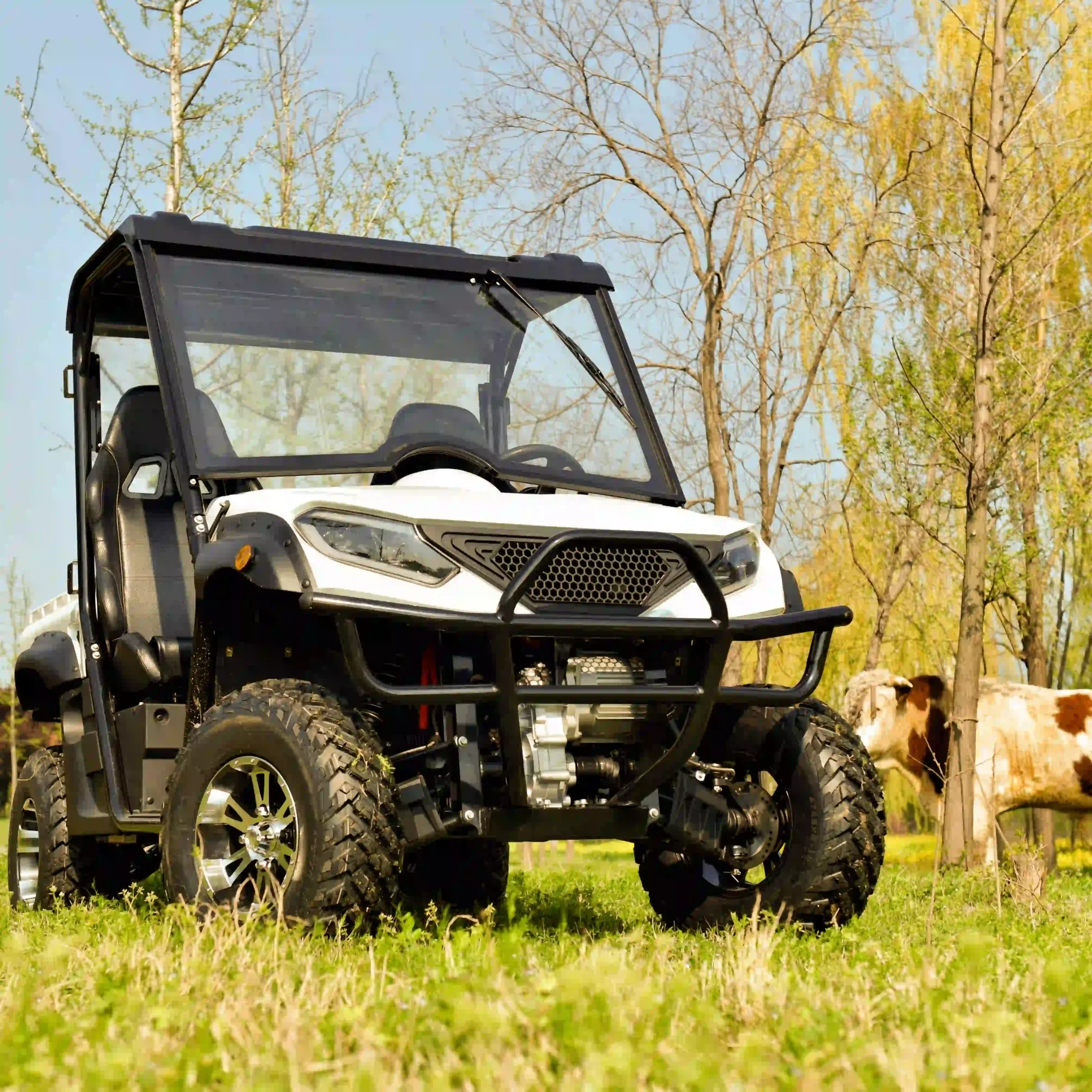 4-Seater Electric UTV
