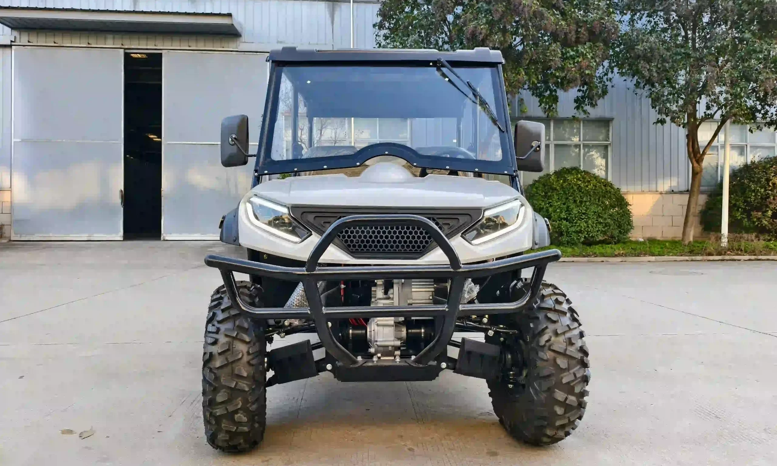 UTV with mirror2